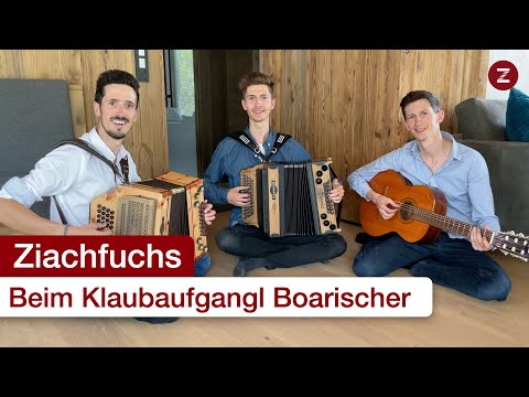 Beim Klaubaufgungl Boarischer 😊 - Ziachfuchs