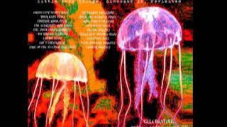 Echo Upstairs - Not the Same (Dinosaur Jr)