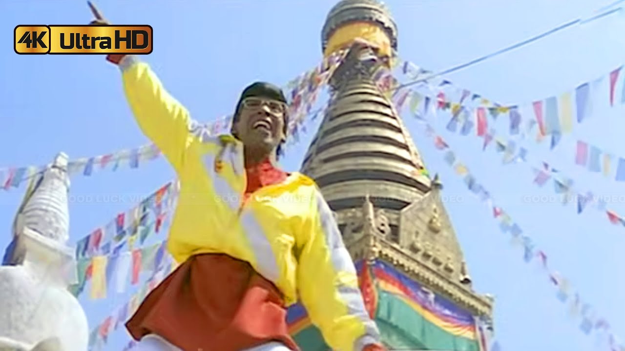 Paalu Paalu Song Lyrics | Thaaikulame Thaaikulame Tamil | Vadivelu