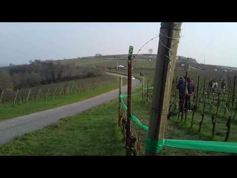 2 Rally Dei Colli Scaligeri 2017