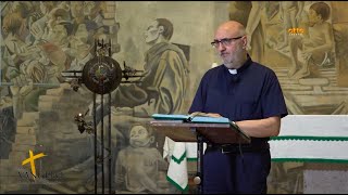 riflessioni sul vangelo di domenica 16 giugno 2024