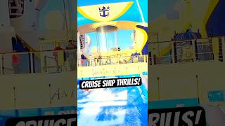 Cruise Ship Surfing & Skydiving on Anthem of the Seas