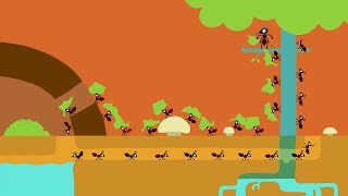 Animanimals ant