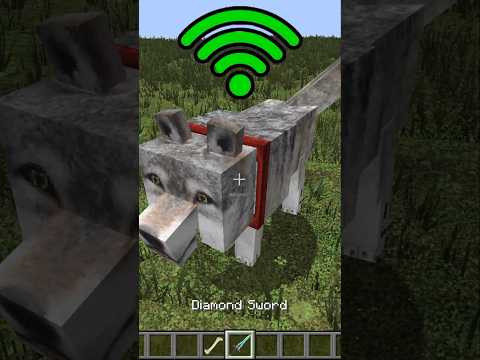 dog with different Wi-Fi