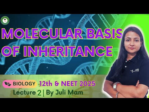 Align Career Institute Dehradun Video 3