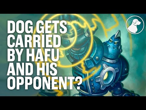 Dog Gets Carried by Hafu and His Opponent | Dogdog Hearthstone Battlegrounds