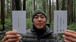 It Only Takes One Person Telling The Truth To Shatter Mind Control