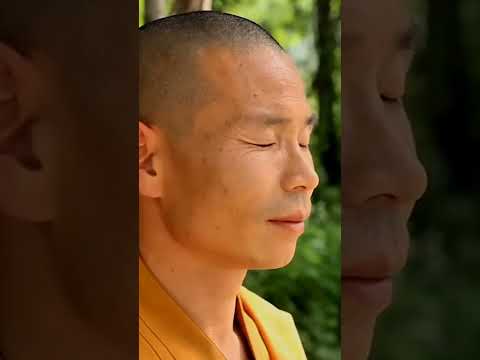 Uma rara visão sobre a vida pacífica dos Monges Guerreiros Shaolin | Templo Shaolin Yunnan