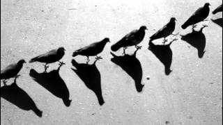 Marco Di Marco & Nathan Haines - Walking In St. James' Park