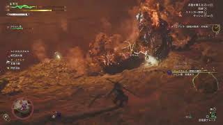 モンスターハンターワイルズ　金冠探し