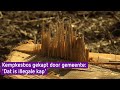 Bos in Ooij platgegooid: 'Er klopt geen hout van'