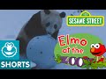 Elmo And Zoo Animals Play Games Elmo At The Zoo 10