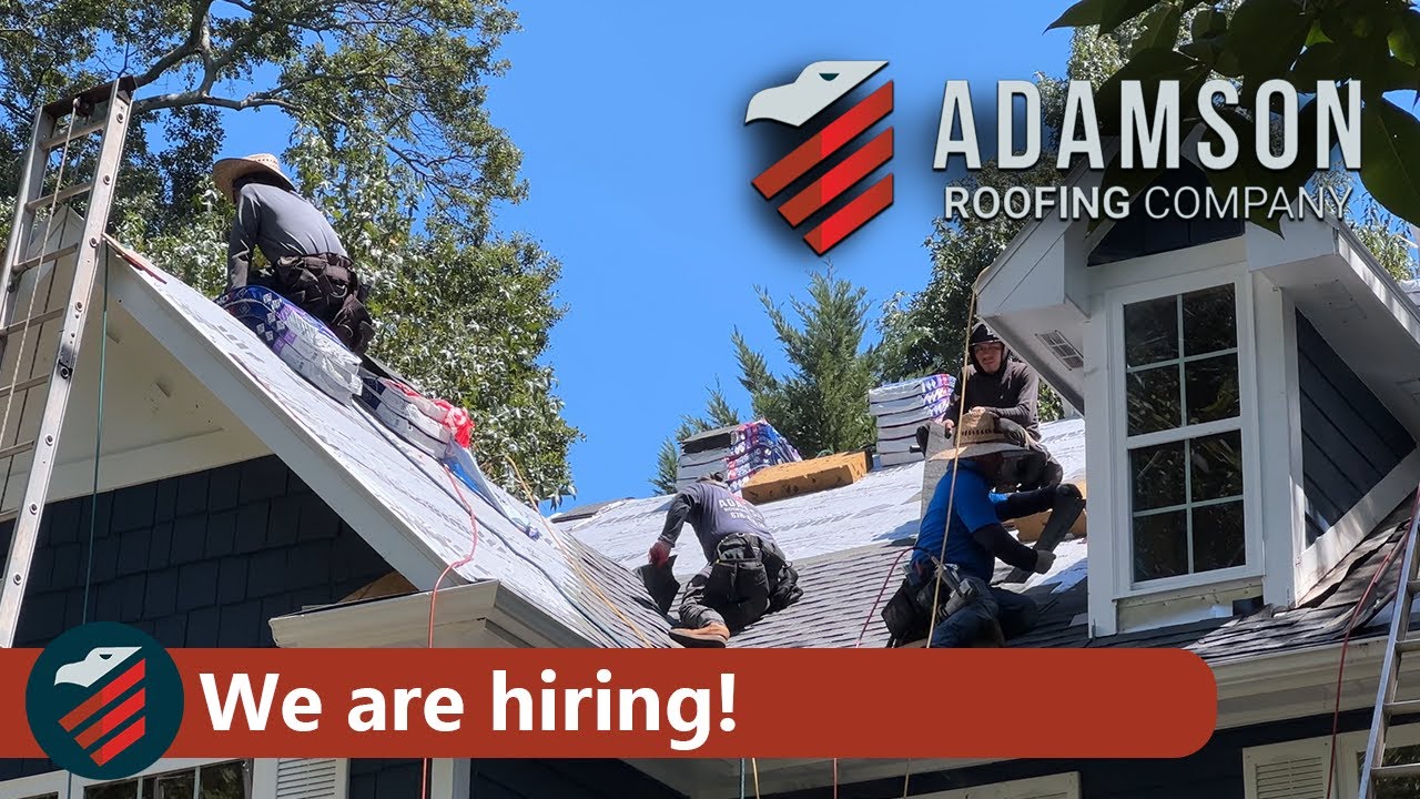 We Are Hiring Project Managers!