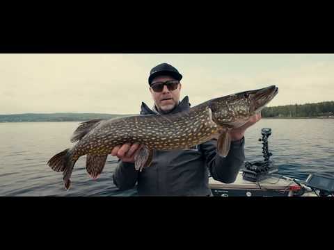 Pike Fight 2019 - Official Trailer