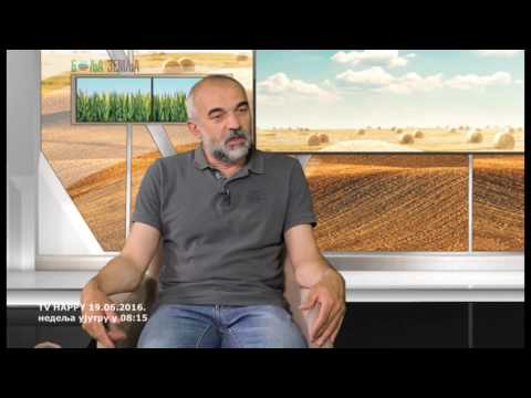 Kako bunardzije znaju gde je voda  -  prava informacija od stručnjaka ?