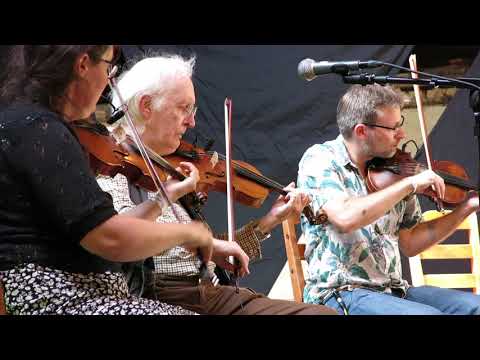 Tjavsmose Trio (DK) - Den strejkende General + Jens Lyngses polka - MoPF 2019