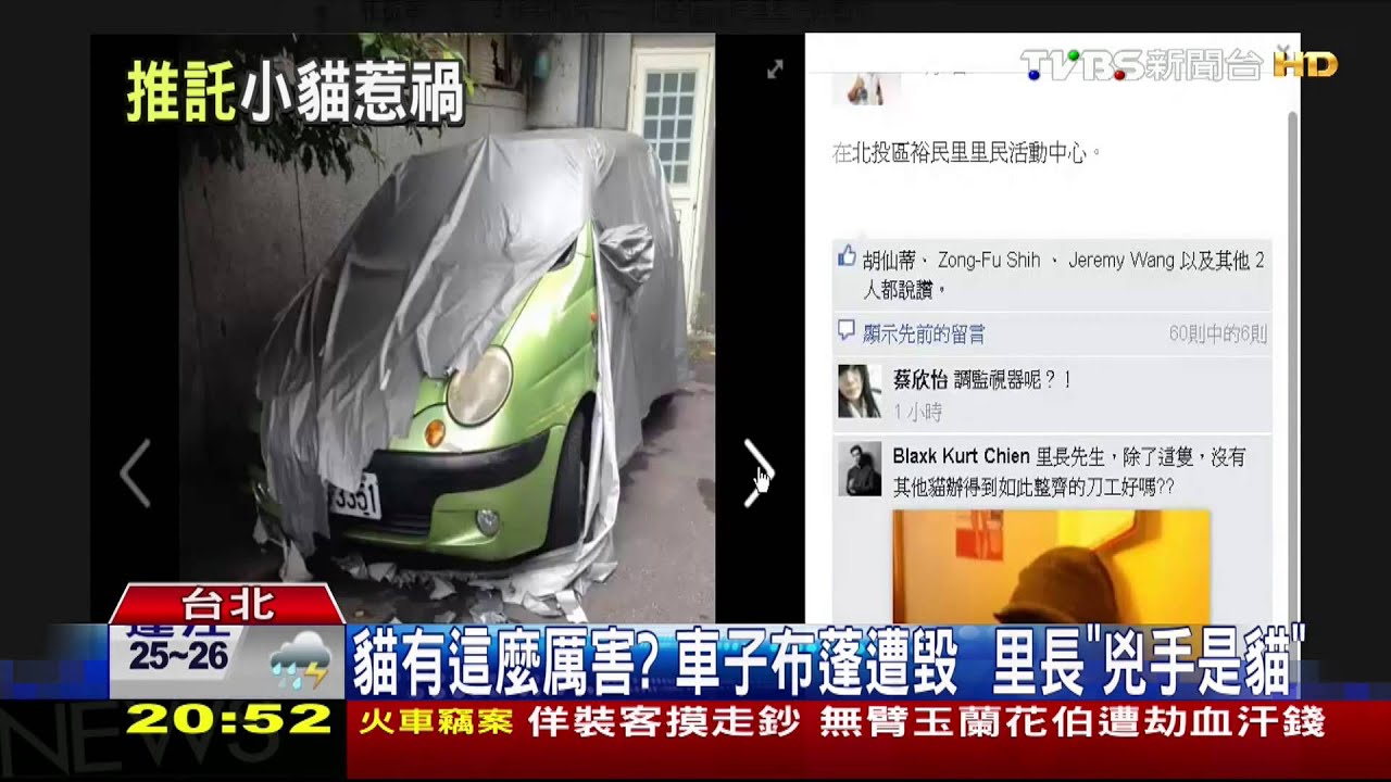 貓有這麼厲害?車子布蓬遭毀 里長「兇手是貓」