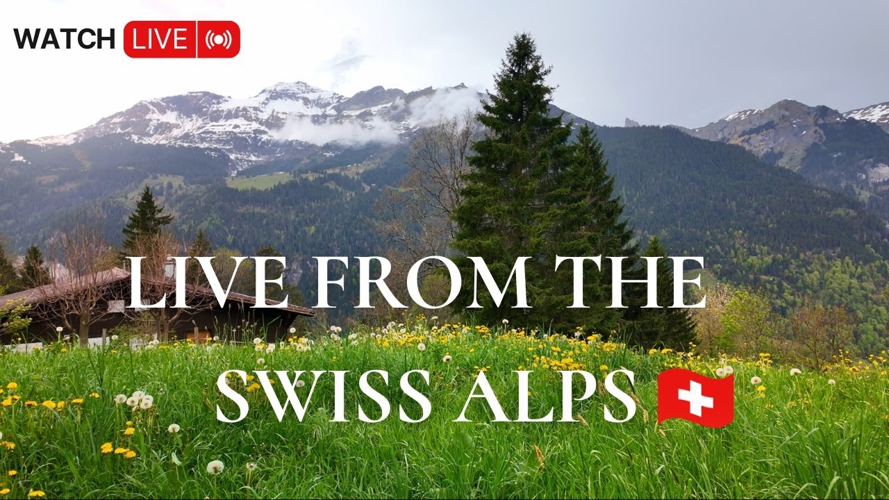 LIVE 24/7: Birdsong & Peaceful View from the Swiss Alps 🇨🇭 | Nature Sounds for Relaxation