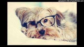 Indoor Fireworks/Laura Cantrell