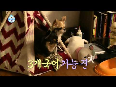 【TVPP】Amber(f(x)) - Funny Dinner Party, 엠버(에프엑스) - 한 상 가득! 시끌벅적 엠버하우스 저녁파티 @ I Live Alone