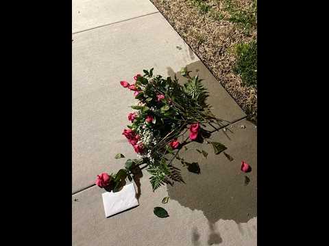 Lujipeka Sad Type Beat - "Saut Périlleux"