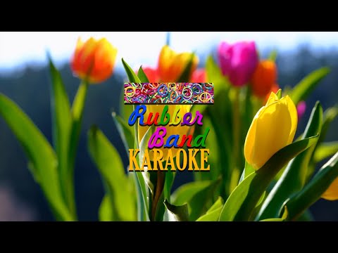 Maamaluge Haaru (M Solo) | Ali Rameez | By Rubber Band Karaoke