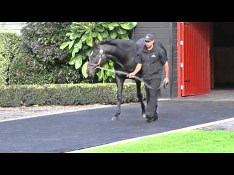 Redwood: Group 1 Winner of $2.3M