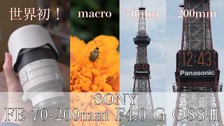 『ガジェット紹介』望遠なのにマクロ撮影も！SONY FE 70-200mm F4.0 G OSS Ⅱのレンズが最強すぎる