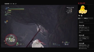 サボテンダー探しぼちぼち。