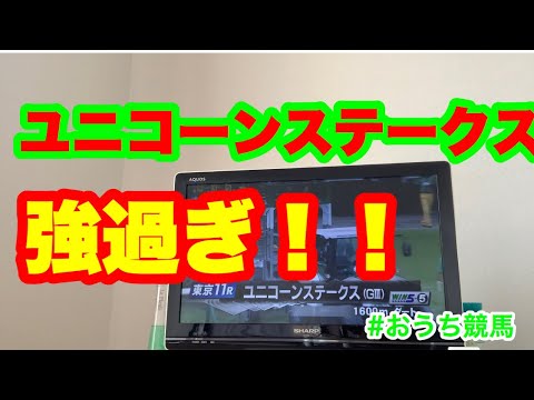 ユニコーンステークス　おうちで競馬観戦