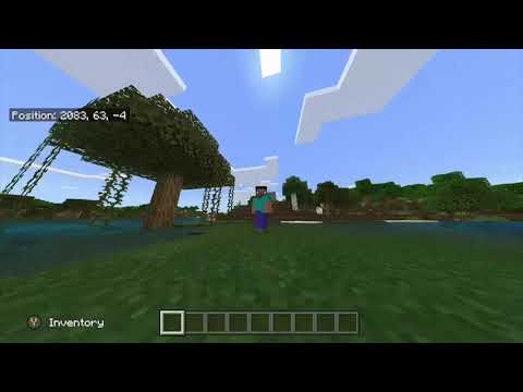 Diamonds Mine – Epic Minecraft Parody ft. Lil Richard!