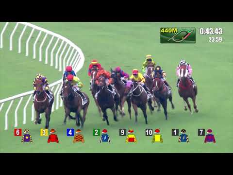 1/10/2022 (60) Happy Sharing - L Ferraris