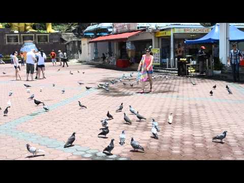 Batu Caves KL Malaysia on 17 MAR 2014 - Masti by GiTiKa