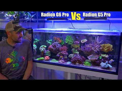 Radion G6 Pro Review - Deep Dive & Comparison