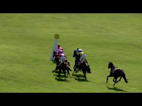 6. dostih - Zlatý pohár - Cena předsedy Poslanecké sněmovny - dostihy Pardubice 8. 6. 2019