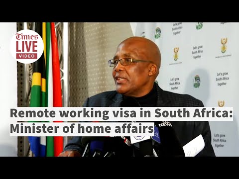 Remote working visas 'important for South Africa' Minister of home affairs