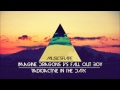Imagine Dragons vs Fall Out Boy - Radioactive In ...