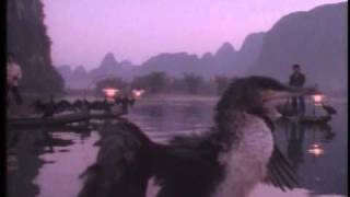 WINDHAM HILL Gwenlaise Relaxation