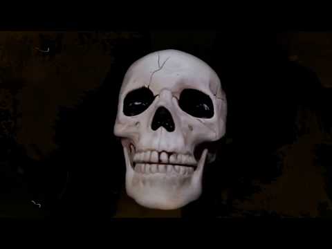 No Mushrooms (prod. 27Corazones Beats)