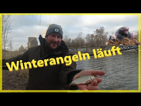 Fishing for coarse fish in winter with a float works better with this trick.