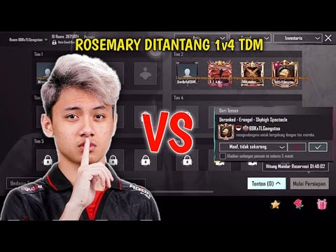 AE ROSEMARY DITANTANG 1 VS 4 TDM AUTO UNJUK SKILL KENA KEP*LA🔥AUTO TING TING