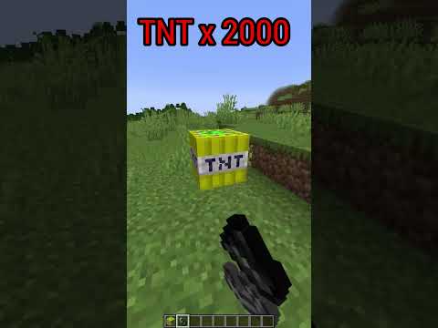 Insane Minecraft TNT Experiment! 10,000 vs 1 TNT
