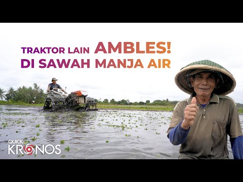 Traktor Lain Ambles di Sawah Manja Air | Quick Kronos Traktor Sawah Dalam Dengan Tempat Duduk