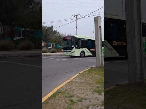 Transporte de Santiago| Youtung E8 ZK6815BEVG Eléctrico|Buses de Acercamiento las Condes|Santiago