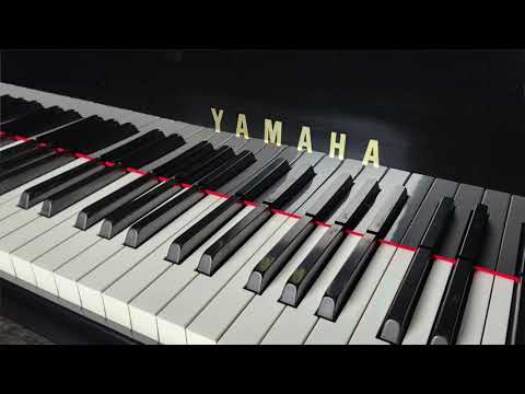 Yamaha C2 Piano in Polished Ebony * Mfg 2000 in Japan * Free 1st floor delivery in NJ! image 13