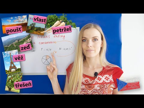 🎀 Feminine Nouns Ending in a Consonant | Why You Should Learn Them