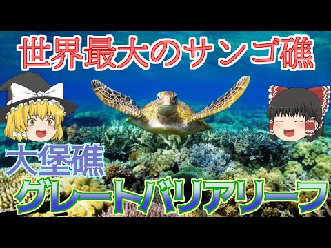 グレートバリアリーフの形成が解明される