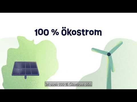 Grüner Strom - das Ökostromlabel der Umweltverbände