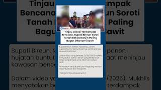 Pernyataan Kontroversial Bupati Bireun: Lahan Bekas Banjir Ideal Ditanami Kelapa Sawit Tuai Kritik