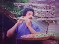 Namma Singari Sarakku Remix Song Kakki Sattai Movie